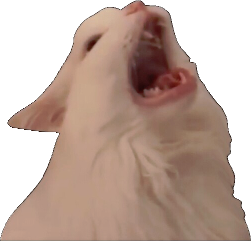 :screm: